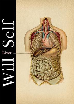 Liver: A Fictional Organ with a Surface Anatomy of Four Lobes - Self, Will