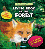 Living Book of the Forest: Panoramic 3D Pictures