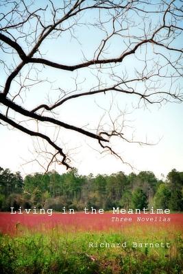 Living in the Meantime: Three Novellas - Barnett, Richard