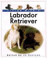 Living with a Labrador Retriever