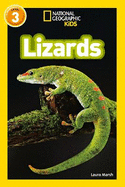 Lizards: Level 3