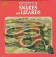 Lizards & Snakes - Fichter, George S, and Golden Books