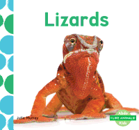 Lizards