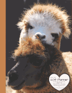 Llama Love 2019 Planner Organize Your Weekly, Monthly, & Daily Agenda: Features Year at a Glance Calendar, List of Holidays, Motivational Quotes and Plenty of Note Space