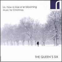 Lo, how a rose e'er bloometh: Music for Christmas - The Queen's Six