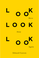 Look Here Look Away Look Again: Volume 46