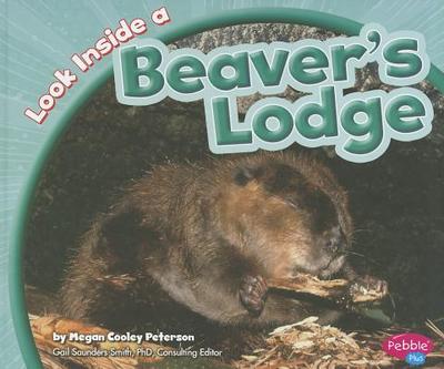Look Inside a Beaver's Lodge - Peterson, Megan C
