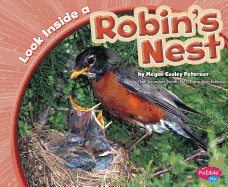 Look Inside a Robin's Nest