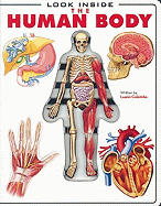 Look Inside the Human Body
