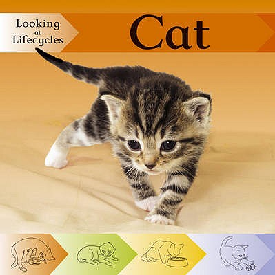 Looking at Lifecycles: Cat - Huseby, Victoria