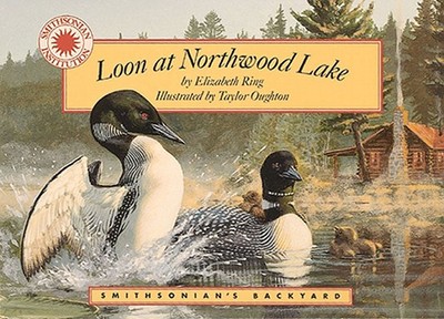 Loon at Northwood Lake - Ring, Elizabeth