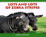 Lots and Lots of Zebra Stripes