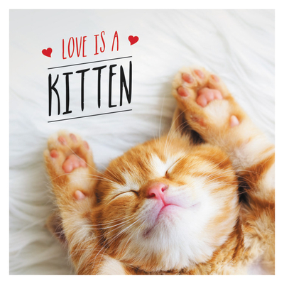 Love is a Kitten: A Cat-Tastic Celebration of the World's Cutest Kittens - Ellis, Charlie