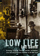 Low Life: Drinking, Drugging, Whoring, Murder, Corruption, Vice and Miscellaneous Mayhem in Old New York - Sante, Luc