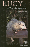 Lucy: A Virginia Opossum