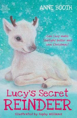 Lucy's Secret Reindeer - Booth, Anne