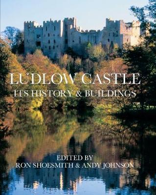 Ludlow Castle: Its History and Buildings - Shoesmith, R. (Editor), and Johnson, Andy (Editor)