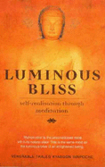 Luminous Bliss: Self-Realisation through Meditation