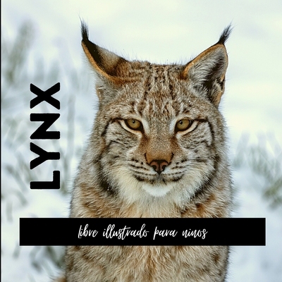 Lynx: Libre illustrado para ninos - Sanchez, Mireille