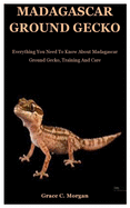 Madagascar Ground Gecko: Everything You Need To Know About Madagascar Ground Gecko, Training And Care