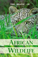Magic of African Wild Life