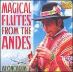 Magical Flutes From the Andes