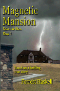 Magnetic Mansion