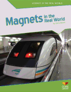 Magnets in the Real World