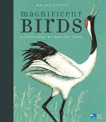 Magnificent Birds - 