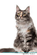 Maine Coon Cat Affirmations Workbook Maine Coon Cat Presents: Positive and Loving Affirmations Workbook. Includes: Mentoring Questions, Guidance, Supporting You.