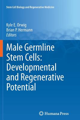 Male Germline Stem Cells: Developmental and Regenerative Potential - Orwig, Kyle E (Editor), and Hermann, Brian P (Editor)