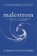 Malestrom: Manhood Swept Into the Currents of a Changing World