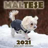 Maltese 2021 Mini Wall Calendar