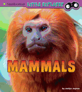 Mammals: a 4D Book (Little Zoologist)