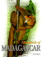 Mammals of Madagascar - Garbutt, Nick