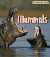 Mammals - Theodorou, Rod