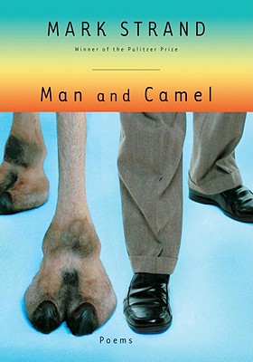 Man and Camel - Strand, Mark