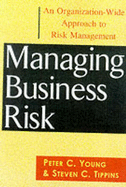 Managing Business Risk: An Organization-Wide Approach to Risk Management