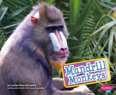 Mandrill Monkeys