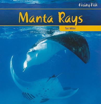 Manta Rays - Miller, Tori