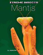 Mantis