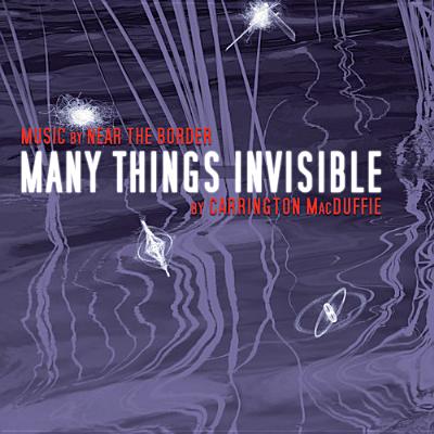 Many Things Invisible - MacDuffie, Carrington (Read by), and McDuffie, Charles Weyte (Read by), and Graham, Dion (Read by)
