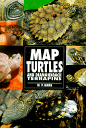 Map Turtles, Diamond Back Terra
