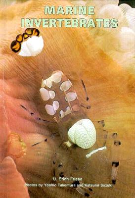 Marine Invertebrates - Friese, U Erich