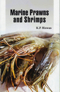 Marine Prawns and Shrimps