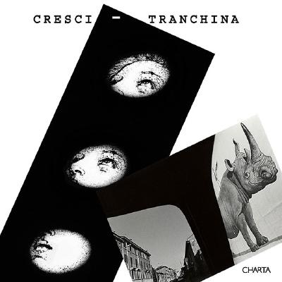 Mario Cresci-Davide Tranchina: Analogies - Madesani, Angela (Text by), and Mario, Cresci (Photographer), and Davide, Tranchina (Photographer)