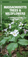 Massachusetts Trees & Wildflowers: An Introduction to Familiar Species