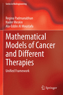 Mathematical Models of Cancer and Different  Therapies: Unified Framework