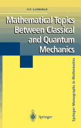 Mathematical Topics Between Classical and Quantum Mechanics