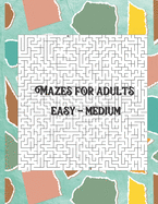 Mazes for adults: Easy - Medium level in large size book